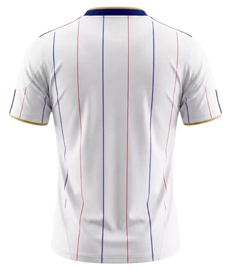 RETRO 2010 FRANCE AWAY JERSEY